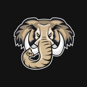 Mastodon esports
